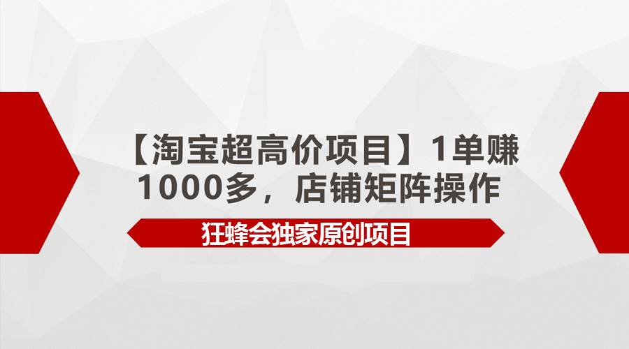 【淘宝超高价项目】1单赚1000多，店铺矩阵操作-时光资源网