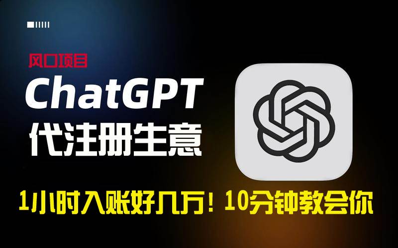 一小时入账好几万！利润大到吓人的ChatGPT代注册小生意，10分钟教会你，…-时光资源网