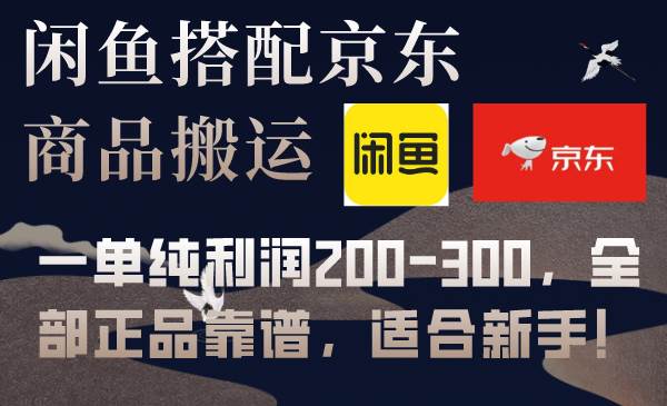 闲鱼搭配京东备份库搬运，一单纯利润200-300，全部正品靠谱，适合新手！-时光资源网