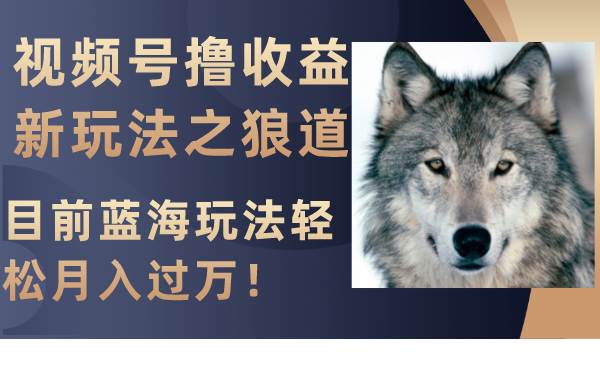 视频号撸收益新玩法之狼道，目前蓝海玩法轻松月入过万！-时光资源网