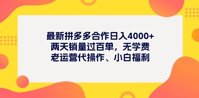 最新拼多多项目日入4000+两天销量过百单，无学费、老运营代操作、小白福利-时光资源网