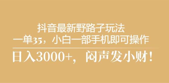抖音最新野路子玩法，一单35，小白一部手机即可操作，，日入3000+，闷…-时光资源网