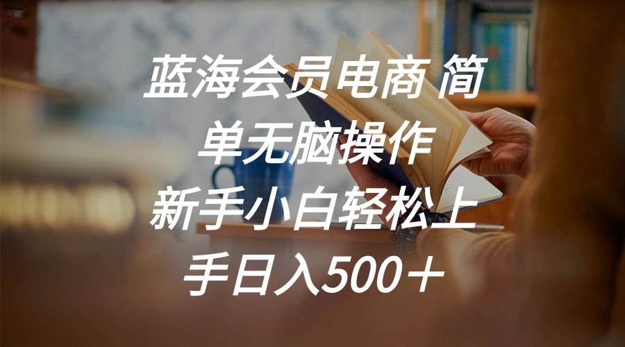 蓝海会员电商 简单无脑操作 新手小白轻松上手日入500＋-时光资源网