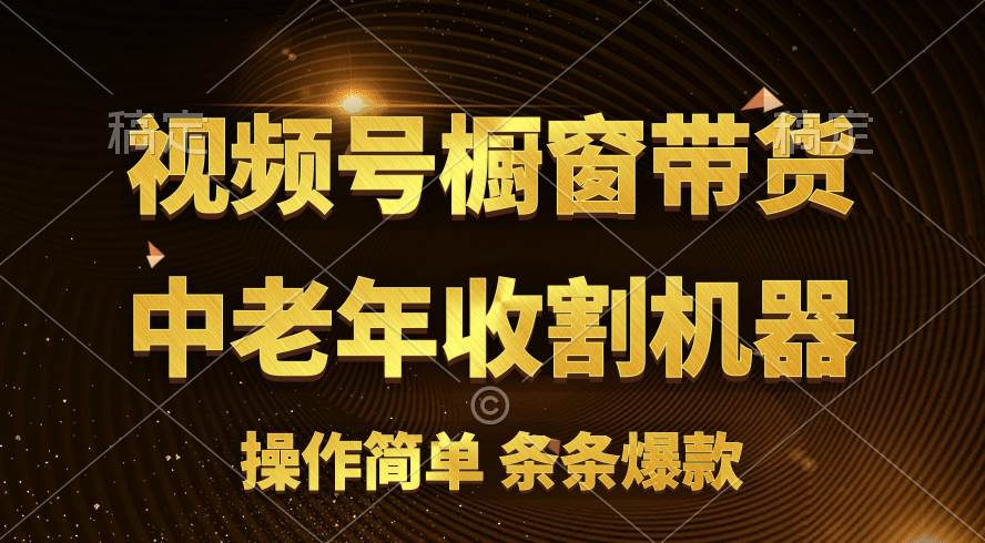 [你的孩子成功取得高位]视频号最火爆赛道，橱窗带货，流量分成计划，条…-时光资源网