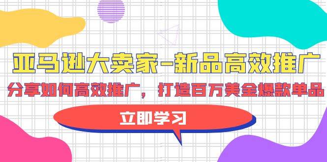 亚马逊 大卖家-新品高效推广，分享如何高效推广，打造百万美金爆款单品-时光资源网