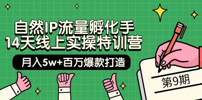 自然IP流量孵化手 14天线上实操特训营【第9期】月入5w+百万爆款打造 (74节)-时光资源网