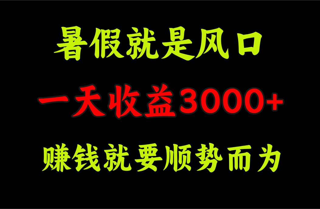 一天收益3000+ 赚钱就是顺势而为，暑假就是风口-时光资源网