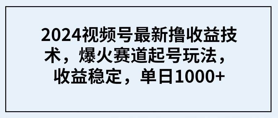 2024视频号最新撸收益技术，爆火赛道起号玩法，收益稳定，单日1000+-时光资源网