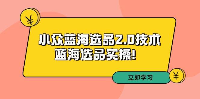 拼多多培训第33期：小众蓝海选品2.0技术-蓝海选品实操！-时光资源网