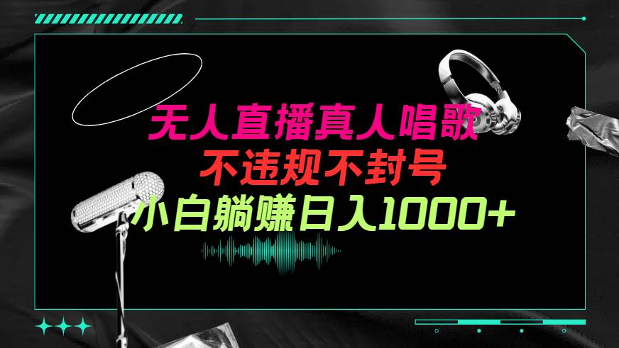 抖音24小时无人直播音乐，不违规，不封号纯撸音浪，小白实操当天日入1000+-时光资源网