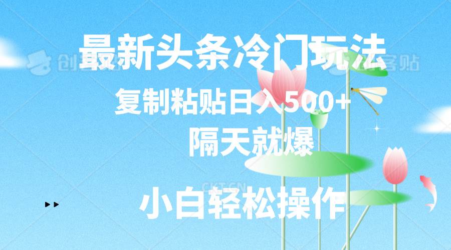 最新头条冷门玩法，隔天就爆，复制粘贴日入500+-时光资源网