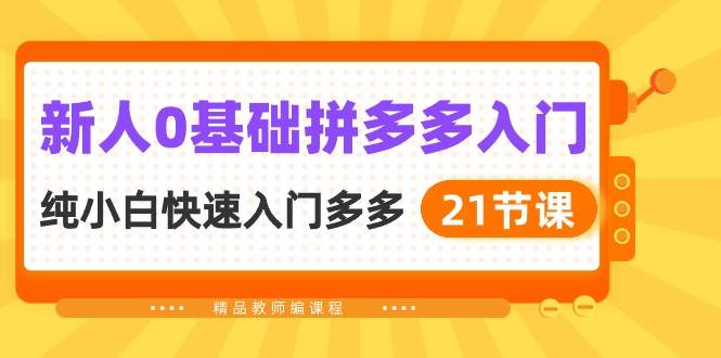 新人0基础拼多多入门，纯小白快速入门多多（21节课）-时光资源网
