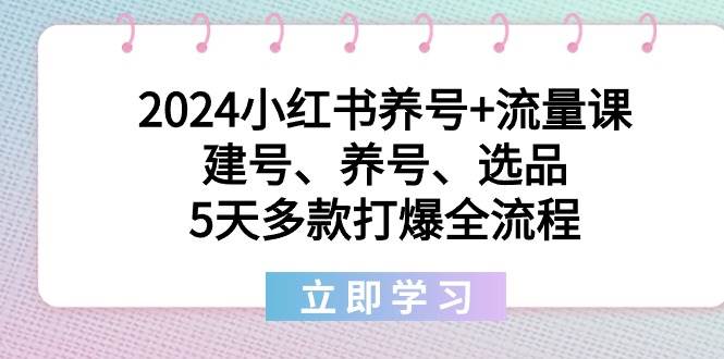 2024小红书养号+流量课：建号、养号、选品，5天多款打爆全流程-时光资源网