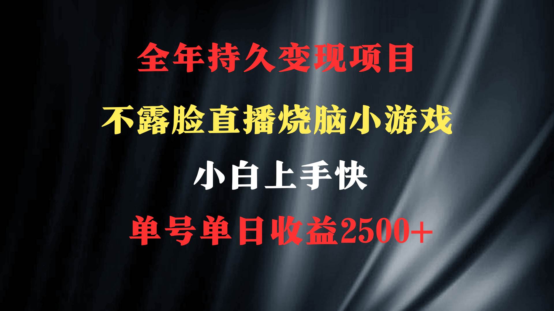 2024年 最优项目，烧脑小游戏不露脸直播  小白上手快 无门槛 一天收益2500+-时光资源网