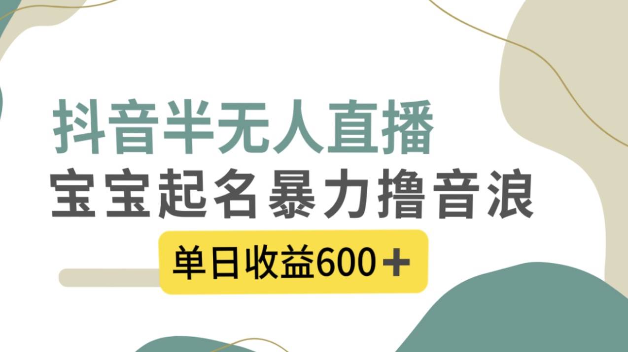 抖音半无人直播，宝宝起名，暴力撸音浪，单日收益600+-时光资源网