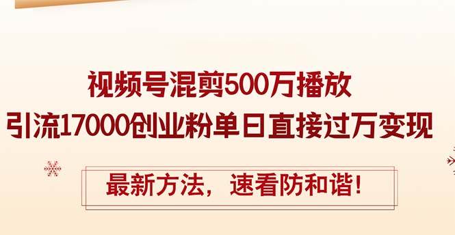精华帖视频号混剪500万播放引流17000创业粉，单日直接过万变现，最新方…-时光资源网