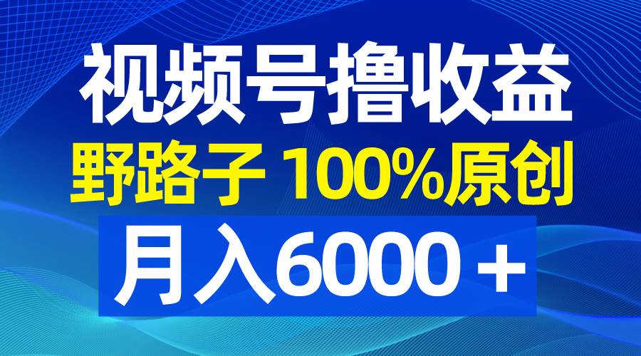 视频号野路子撸收益，100%原创，条条爆款，月入6000＋-时光资源网