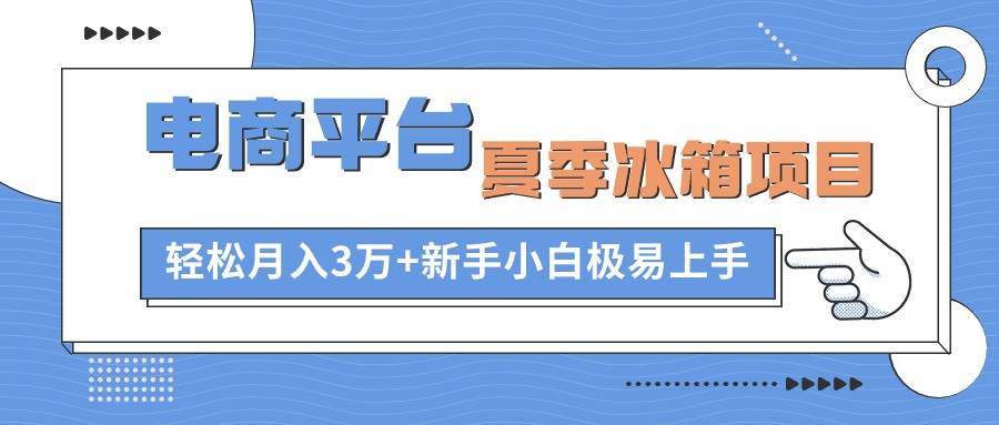 电商平台夏季冰箱项目，轻松月入3万+，新手小白极易上手-时光资源网
