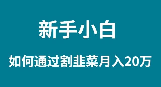 新手小白如何通过割韭菜月入 20W-时光资源网