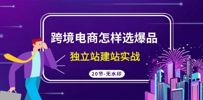跨境电商怎样选爆品，独立站建站实战（20节高清无水印课）-时光资源网