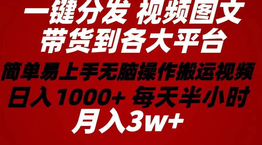 2024年 一键分发带货图文视频  简单易上手 无脑赚收益 每天半小时日入1…-时光资源网
