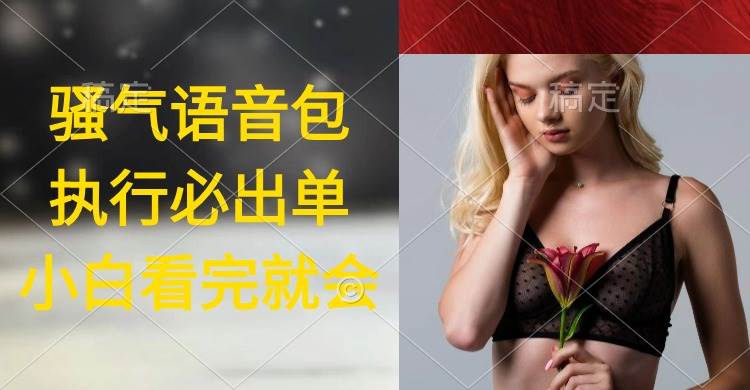 执行就出单，日入2000+，超火骚气语音包，小白看完课程就能马上实操-时光资源网