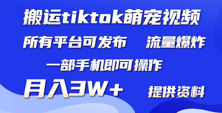 搬运Tiktok萌宠类视频，一部手机即可。所有短视频平台均可操作，月入3W+-时光资源网