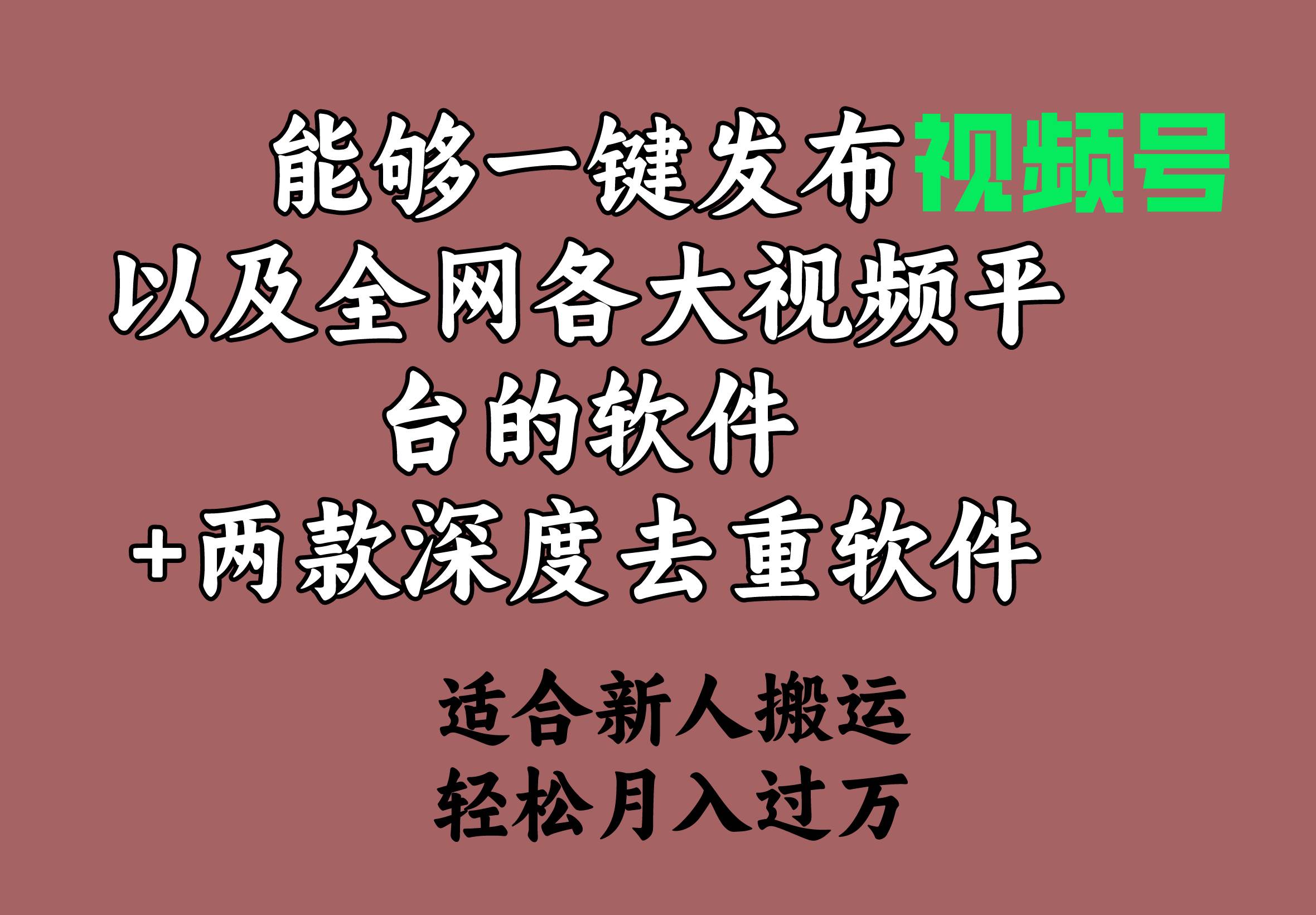 能够一键发布视频号以及全网各大视频平台的软件+两款深度去重软件 适合…-时光资源网