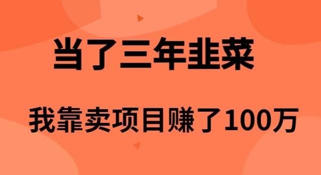 当了3年韭菜，我靠卖项目赚了100万-时光资源网