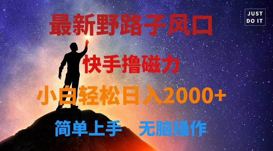 最新风口！快手撸磁力，野路子，小白无脑操作日入2000+-时光资源网