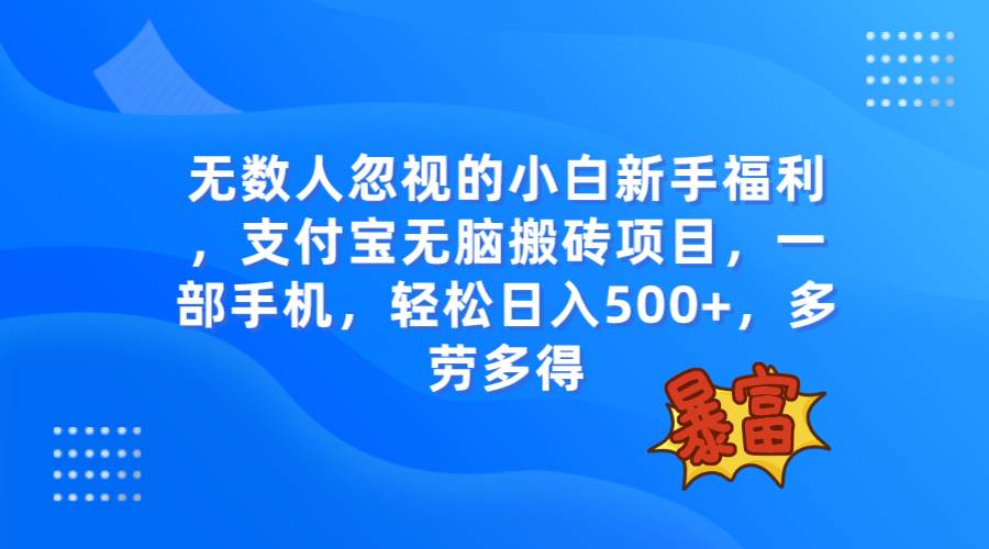 无数人忽视的项目，支付宝无脑搬砖项目，一部手机即可操作，轻松日入500+-时光资源网