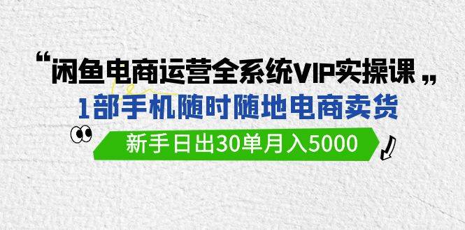 闲鱼电商运营全系统VIP实战课，1部手机随时随地卖货，新手日出30单月入5000-时光资源网