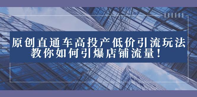 2023直通车高投产低价引流玩法，教你如何引爆店铺流量！-时光资源网