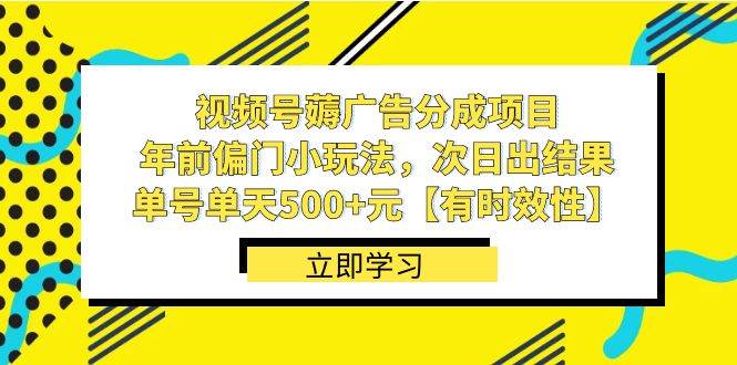视频号薅广告分成项目，年前偏门小玩法，次日出结果，单号单天500+元【有时效性】-时光资源网