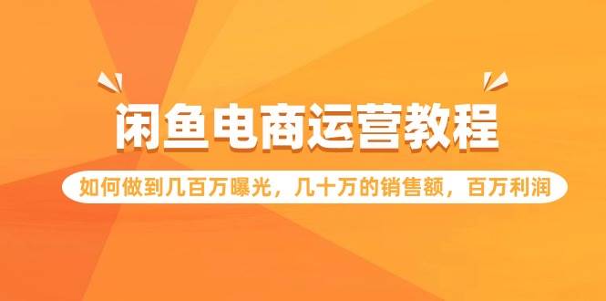 闲鱼电商运营教程：如何做到几百万曝光，几十万的销售额，百万利润-时光资源网