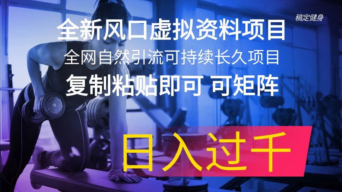 全新风口虚拟资料项目 全网自然引流可持续长久项目 复制粘贴即可可矩阵…-时光资源网