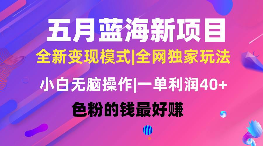 五月蓝海项目全新玩法，小白无脑操作，一天几分钟，矩阵操作，月入4万+-时光资源网
