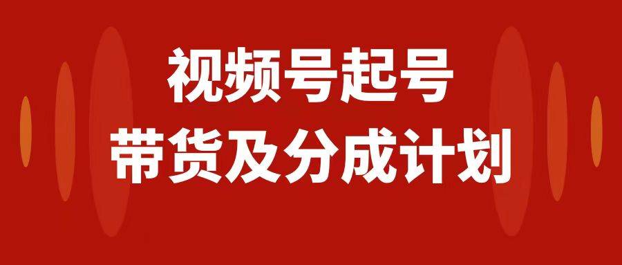 视频号快速起号，分成计划及带货，0-1起盘、运营、变现玩法，日入1000+-时光资源网