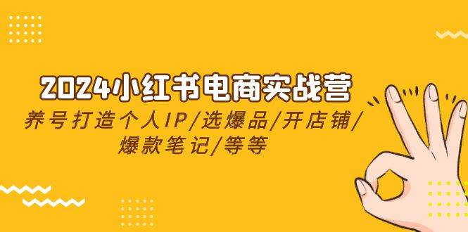 2024小红书电商实战营，养号打造IP/选爆品/开店铺/爆款笔记/等等（24节）-时光资源网
