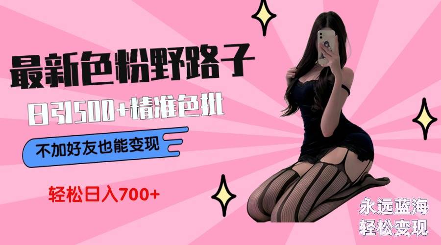最新色粉变现野路子，日引500+老色批 可不加好友直接变现 小白轻松日入700+-时光资源网