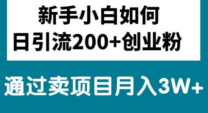 新手小白日引流200+创业粉,通过卖项目月入3W+-时光资源网