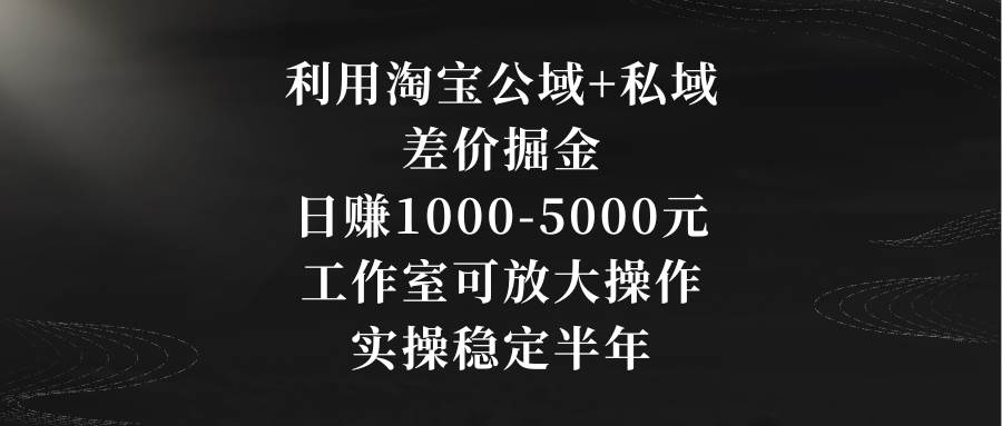 利用淘宝公域+私域差价掘金，日赚1000-5000元，工作室可放大操作，实操…-时光资源网