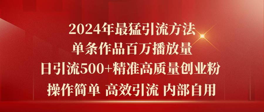 2024年最猛暴力引流方法，单条作品百万播放 单日引流500+高质量精准创业粉-时光资源网