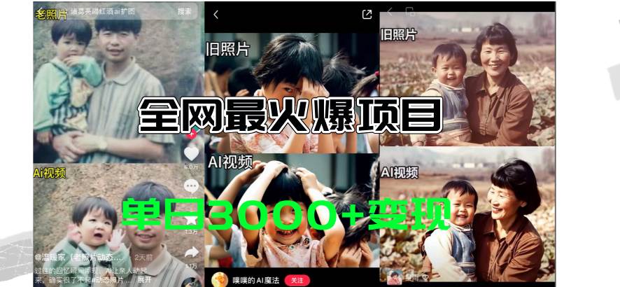 全网爆火的AI让老照片动起来教程，蹭热点日赚3000+，内含免费工具一键…-时光资源网
