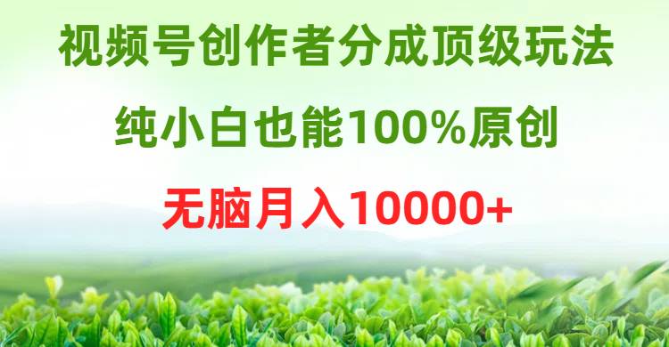 视频号创作者分成顶级玩法，纯小白也能100%原创，无脑月入10000+-时光资源网
