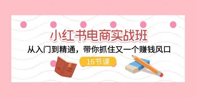 小红书电商实战班，从入门到精通，带你抓住又一个赚钱风口（16节）-时光资源网