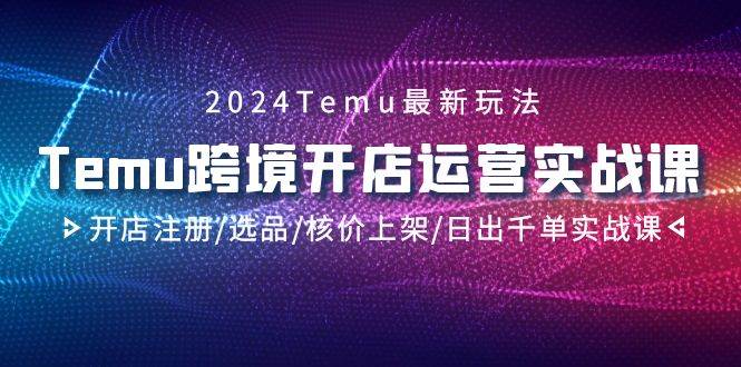 2024Temu跨境开店运营实战课，开店注册/选品/核价上架/日出千单实战课-时光资源网