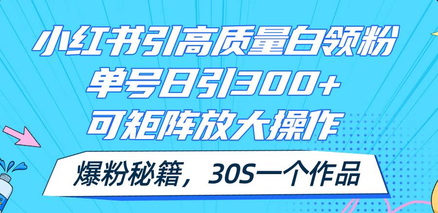 小红书引高质量白领粉，单号日引300+，可放大操作，爆粉秘籍！30s一个作品-时光资源网