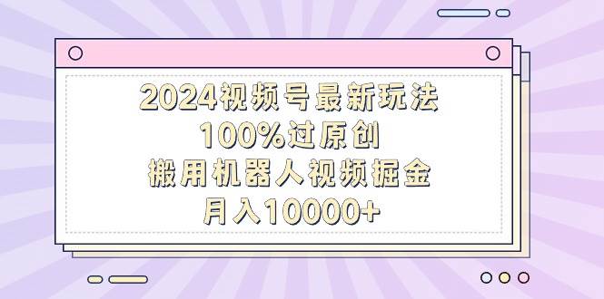 2024视频号最新玩法，100%过原创，搬用机器人视频掘金，月入10000+-时光资源网