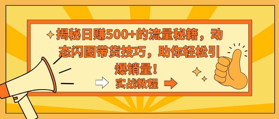 揭秘日赚500+的流量秘籍，动态闪图带货技巧，助你轻松引爆销量！-时光资源网